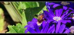 IMG_7401