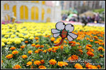 IMG_0089