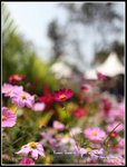 IMG_0111