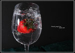 DPP_0223