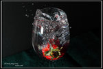 DPP_0226