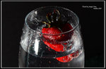 DPP_0227
