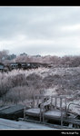 IMG_7433