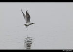 IMG_7590