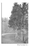 7Y2I1868