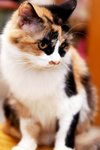 IMG_6828