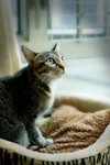 IMG_7369re