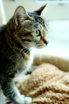 IMG_7371re