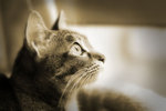 IMG_7376re