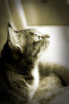 IMG_7378re