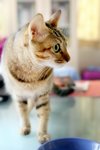 IMG_0252