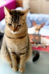 IMG_0275