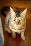 IMG_0284