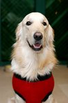 IMG_1868