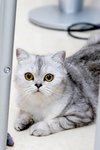 IMG_6261