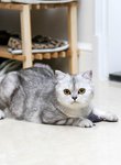 IMG_6264