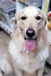 IMG_3779