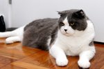 IMG_9602