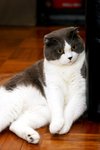 IMG_9653