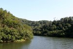 IMG_0010