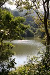 IMG_0021