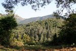 IMG_0041