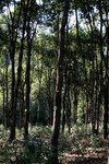 IMG_0049