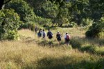 IMG_0058