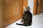 Image00000