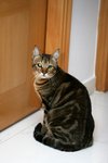 Image00001