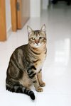 Image00003