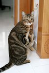 Image00004