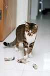 Image00007