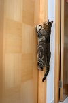 Image00009