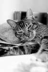 09Jul04_Tobo03