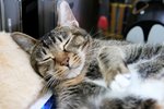 09Jul04_Tobo10