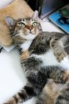 09Jul04_Tobo11