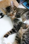 09Jul04_Tobo12