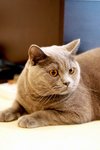 Turbo_07Aug18_08
