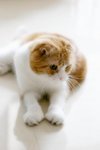 WaiWai_03