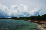DSC_2121LS