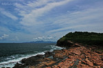 DSC_2230LS