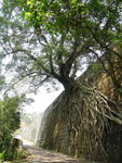 DSC04070