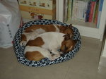 P9072911_resize