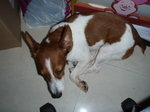 P9072913_resize