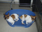 P9242988_resize