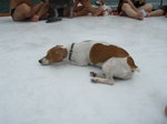 PA013101_resize