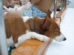 PA013104_resize