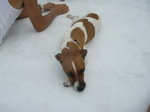 PA013110_resize