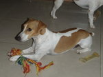 PA053231_resize